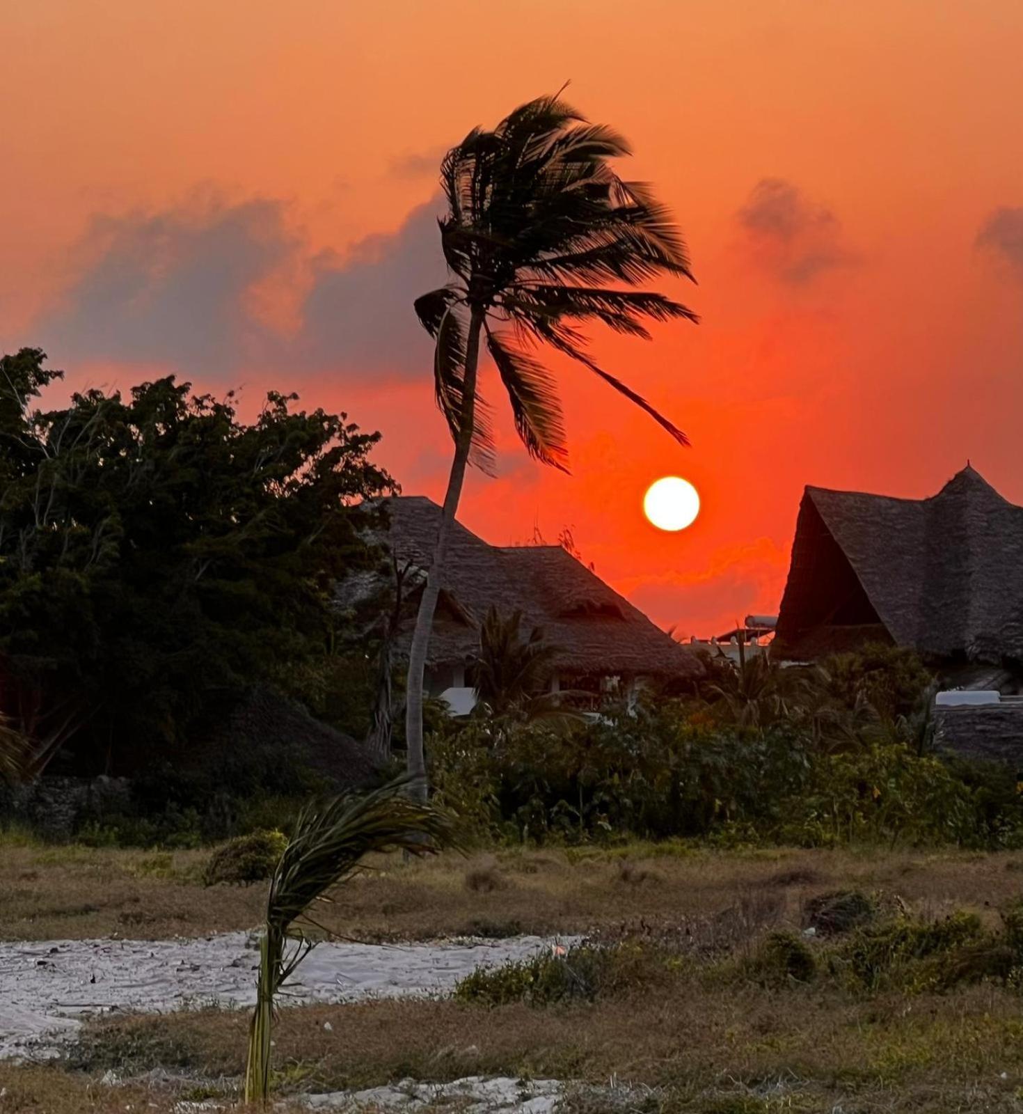 Bed and Breakfast Shira House Watamu Exterior foto